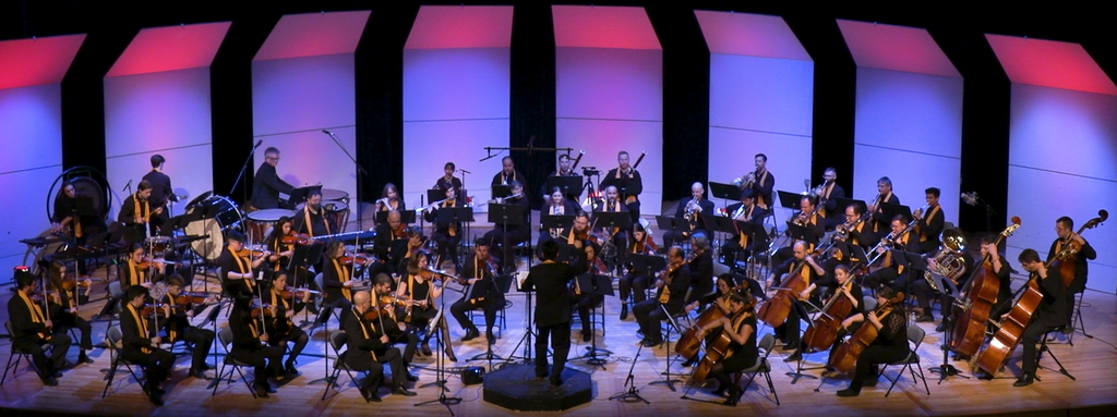 Tutta Musica Orchestra set to shine at Riverview Arts Centre